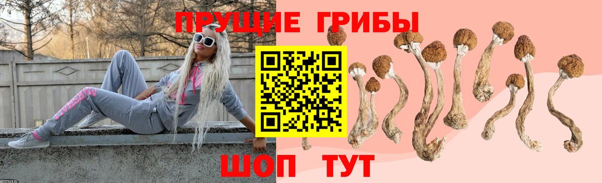 Галлюциногенные грибы MAGIC MUSHROOMS  Вход с VPN  Галлюциногенные грибы Magic Shrooms  Урюпинск 